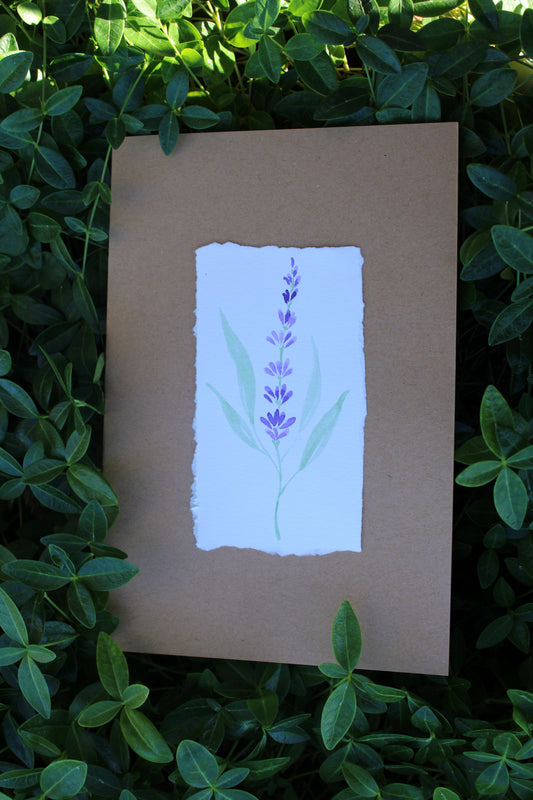 Watercolor Notebook